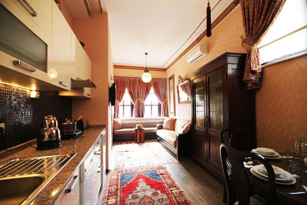 Antik Konak Sultanahmet Luxury Apart Hotel イスタンブール エクステリア 写真